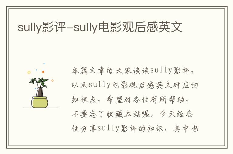 sully影评-sully电影观后感英文